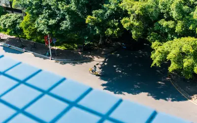 Saldering bij Schaduw van Bomen: Wat Verliest u?